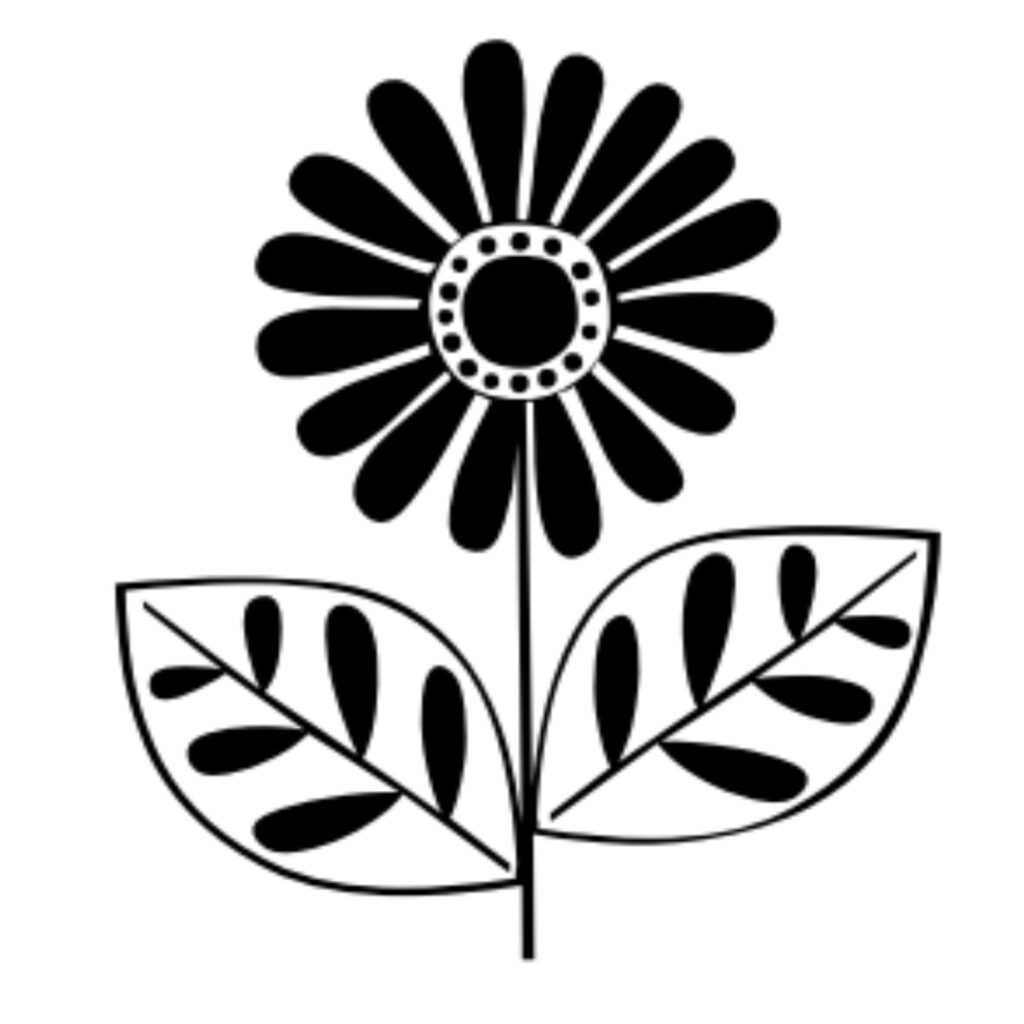 NOMAD Home of the Arts Swakopmund